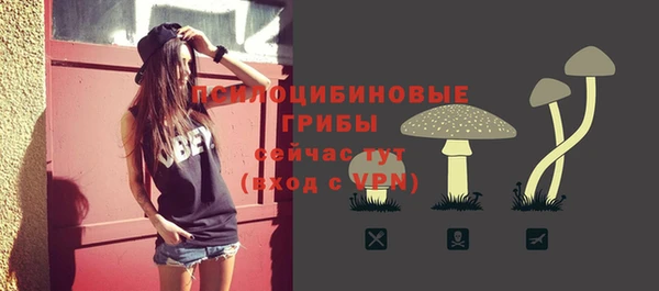 ГАЛЛЮЦИНОГЕННЫЕ ГРИБЫ Армянск