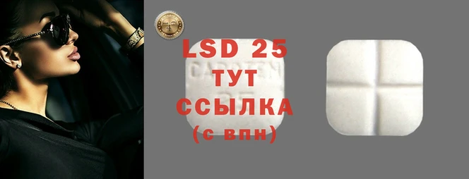 ГАЛЛЮЦИНОГЕННЫЕ ГРИБЫ Армянск